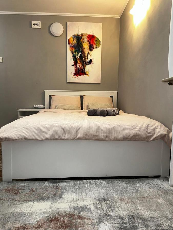 One Room Apartment Decebal Bucareste Exterior foto